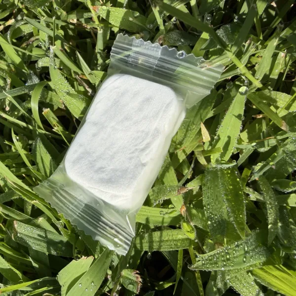 A single individually wrapped Messy Nessie compressed washcloth before use